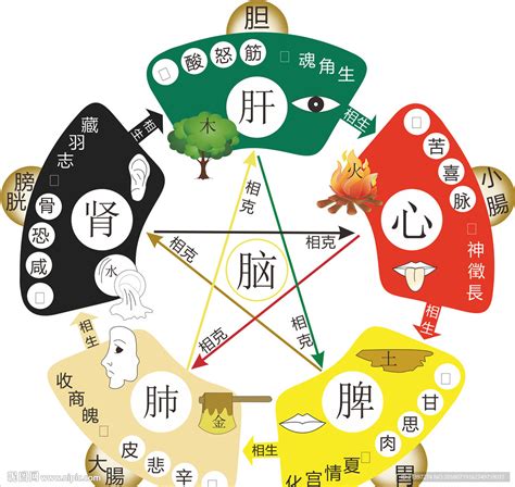 按摩五行|什么是五行按摩法？